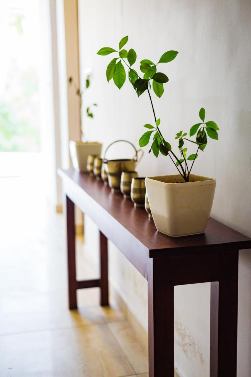 Mekosha Ayurveda Spa Suites Retreat & Resort Attingal 외부 사진